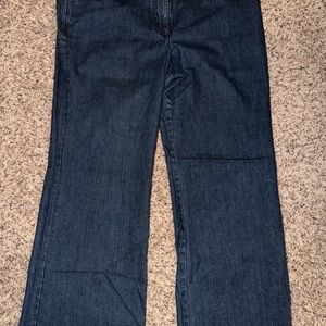 Ann Taylor Dark Blue Flare Jeans